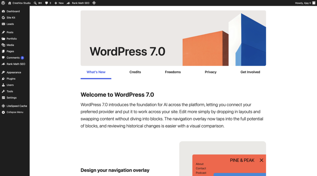 how to choose a wordpress developer